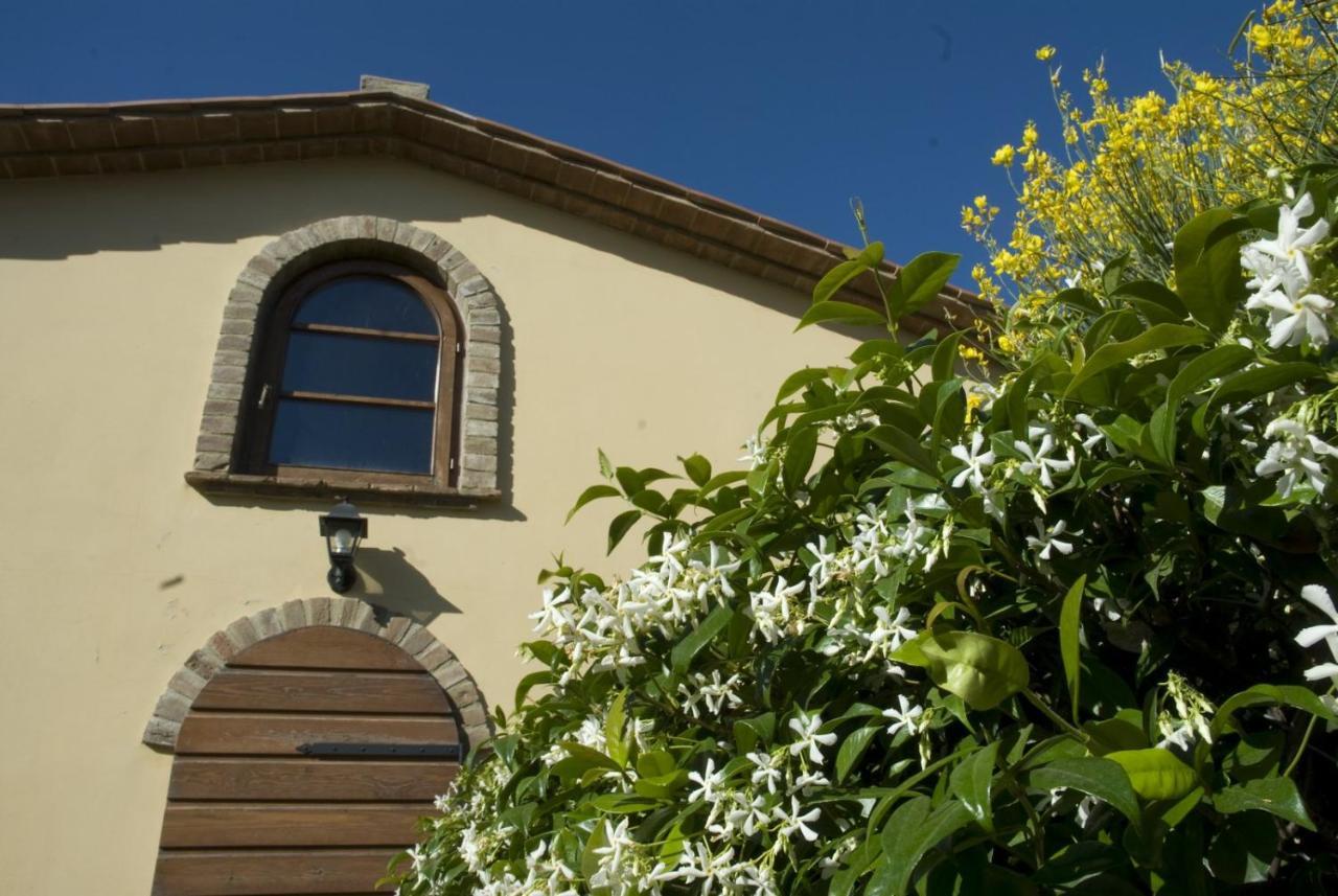Bio Agriturismo Il Melograno Di Banditella Ristorante Alberese Exterior foto